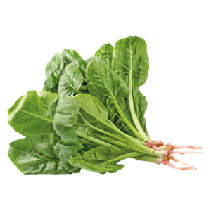 Spinach PNG-79134